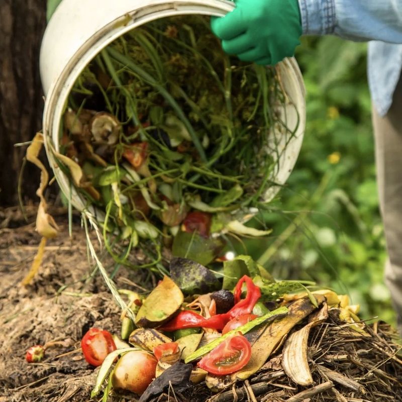 Add Leaves To The Compost Pile Add Leaves To The Compost Pile