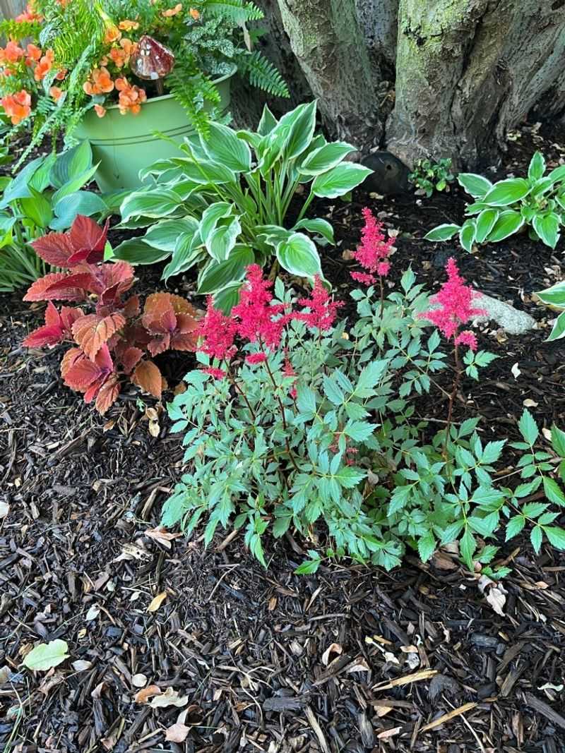 Add Mulch Before Winter