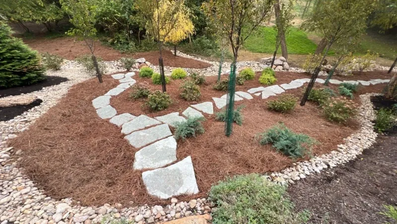 Add Mulch To Hold Fall Moisture Add Mulch To Hold Fall Moisture