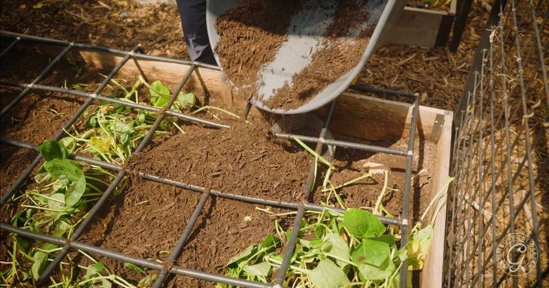 Add Organic Matter Only Where Plants Benefit