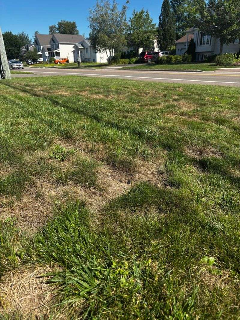 Add Soil Only When Your Patch Truly Needs It