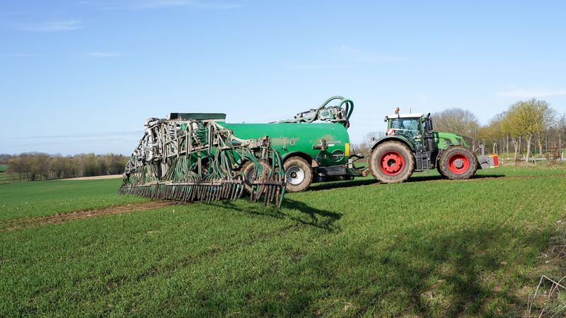 Adding Fresh Manure Without A Plan