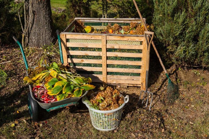 Adding Too Much Fruit Can Create Problems