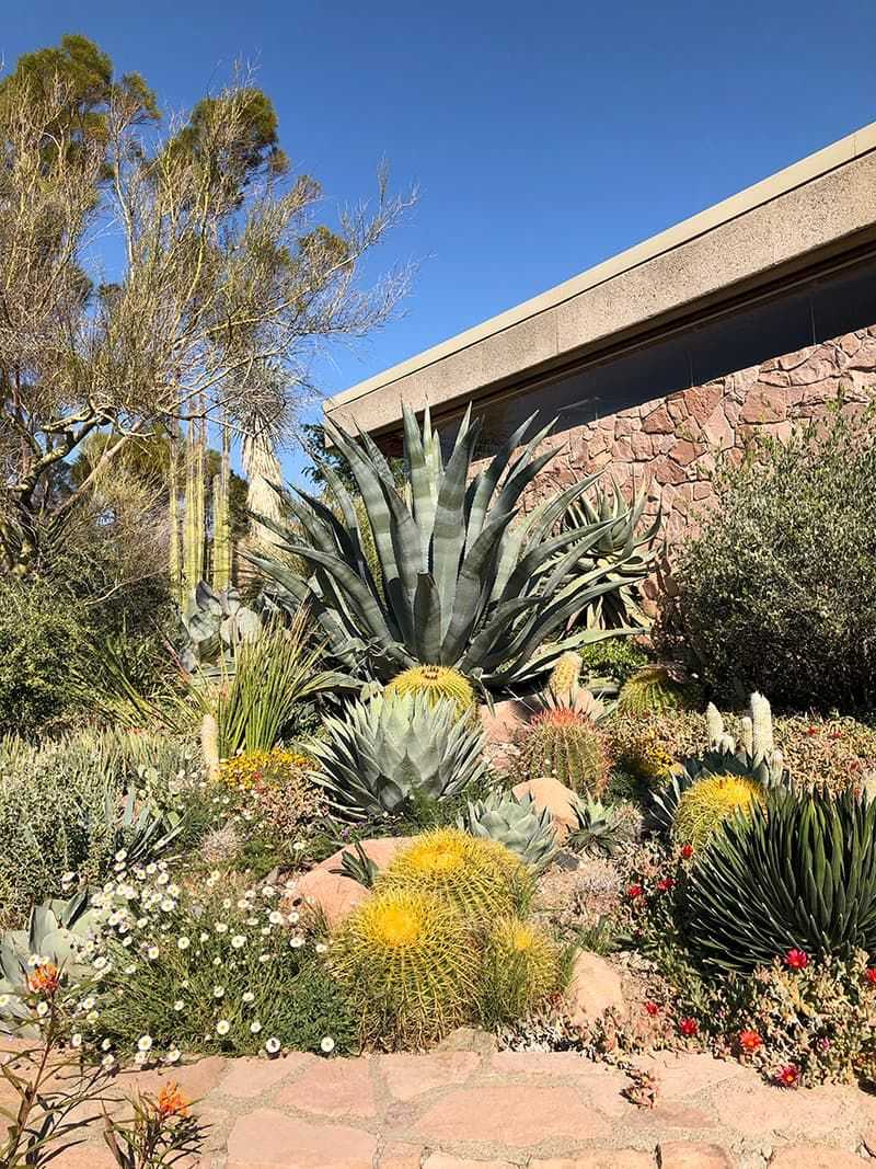 Adjust Arizona Watering Schedules Seasonally Adjust Arizona Watering Schedules Seasonally