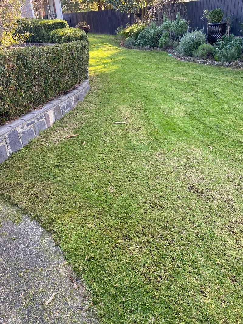 Adjust Mowing Habits As Florida Growth Starts To Slow