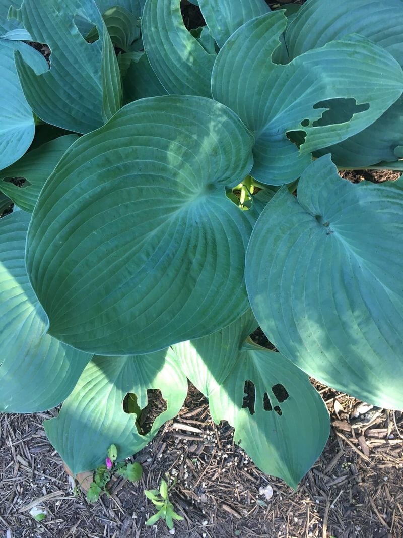 Adjust Watering Before Cooler Weather Arrives Adjust Watering Before Cooler Weather Arrives