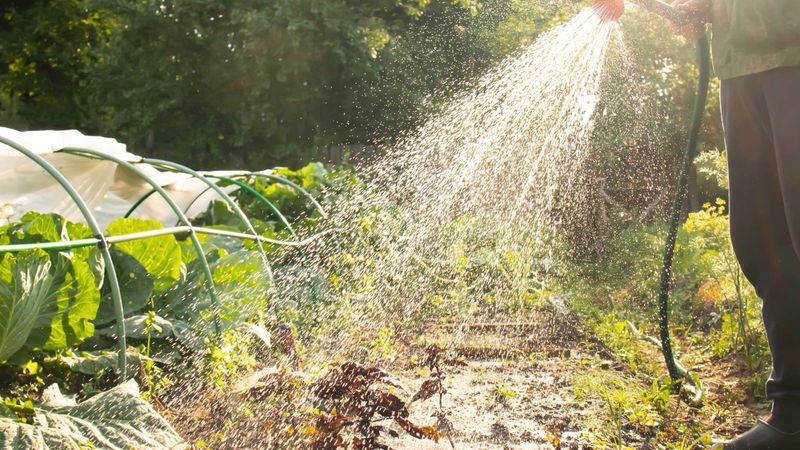 Adjust Watering For Changing Weather