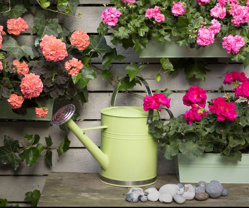 Adjust Watering for Winter