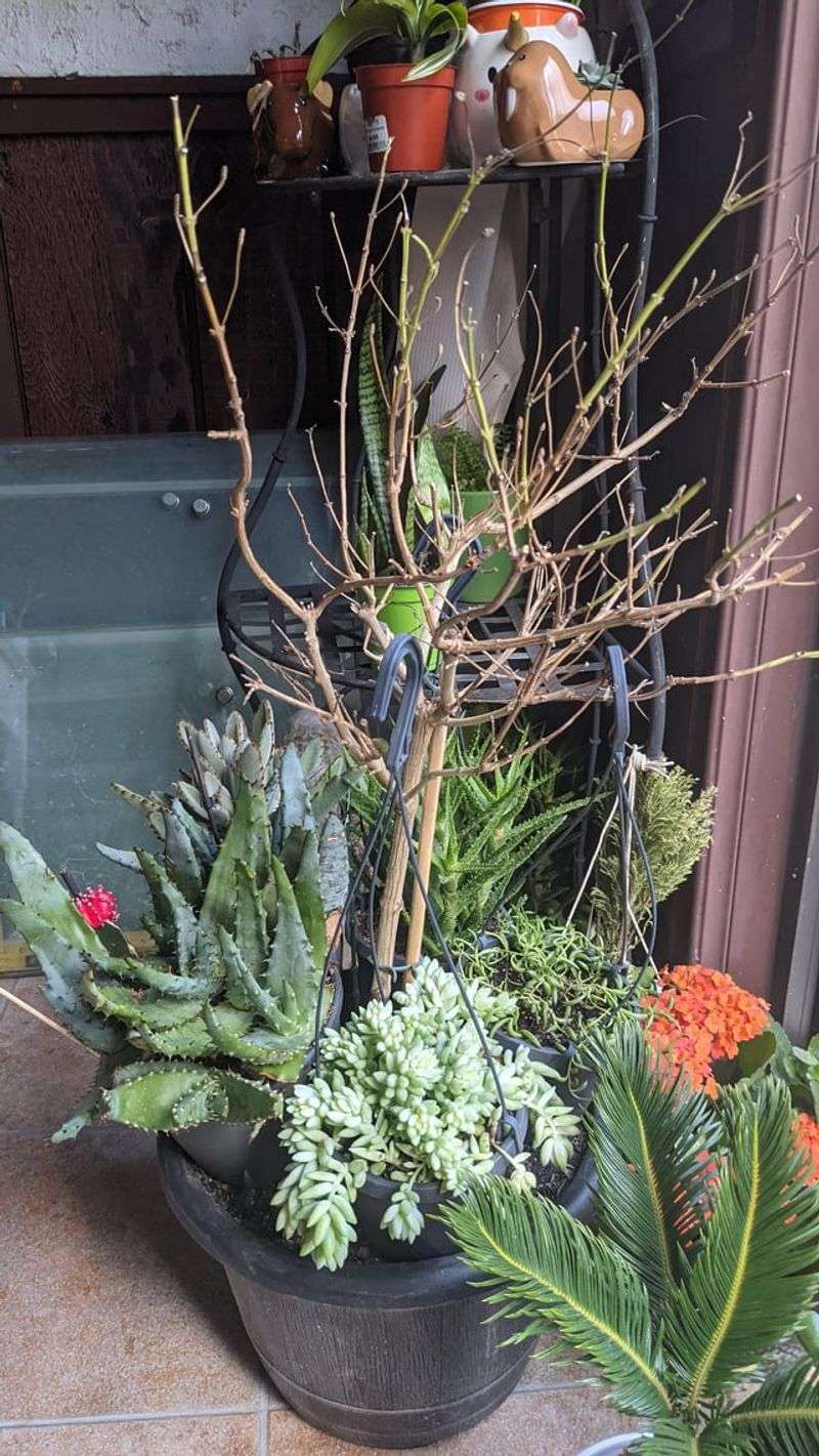 Adjust Winter Watering Habits