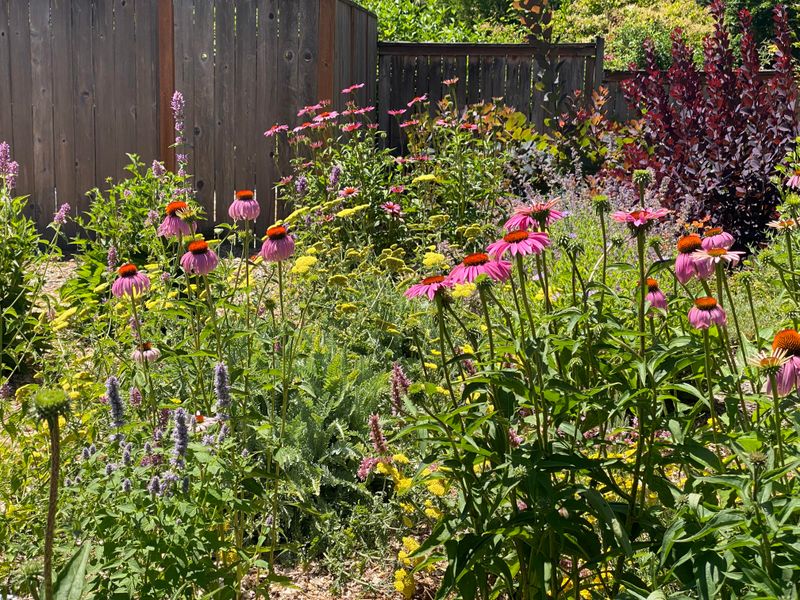 Adjust Your Watering Before Fall Rain Returns