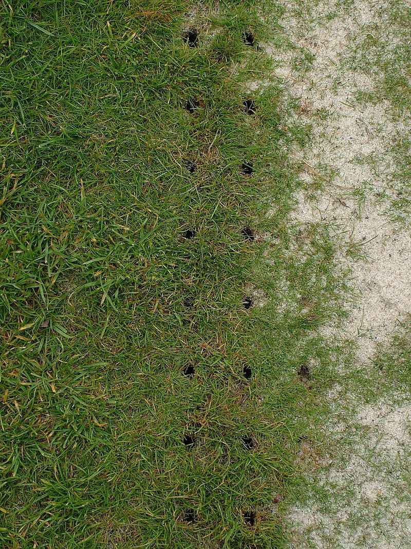 Aerate The Hard Packed Ground Aerate The Hard Packed Ground