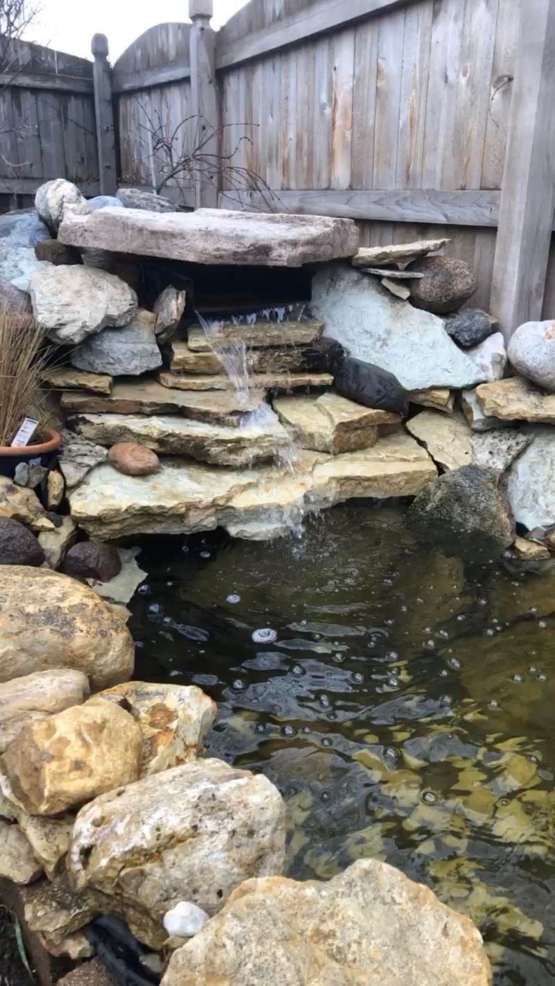 Aeration, Shade, And Long-Term Prevention