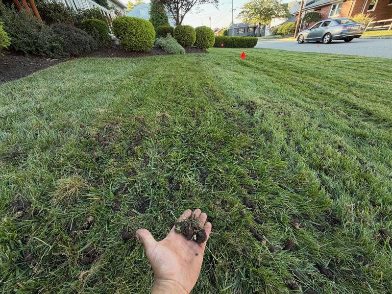 Aeration To Loosen Hard Soil
