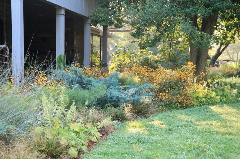 Aim for an intentional yard, not a leaf-free yard Aim for an intentional yard, not a leaf-free yard