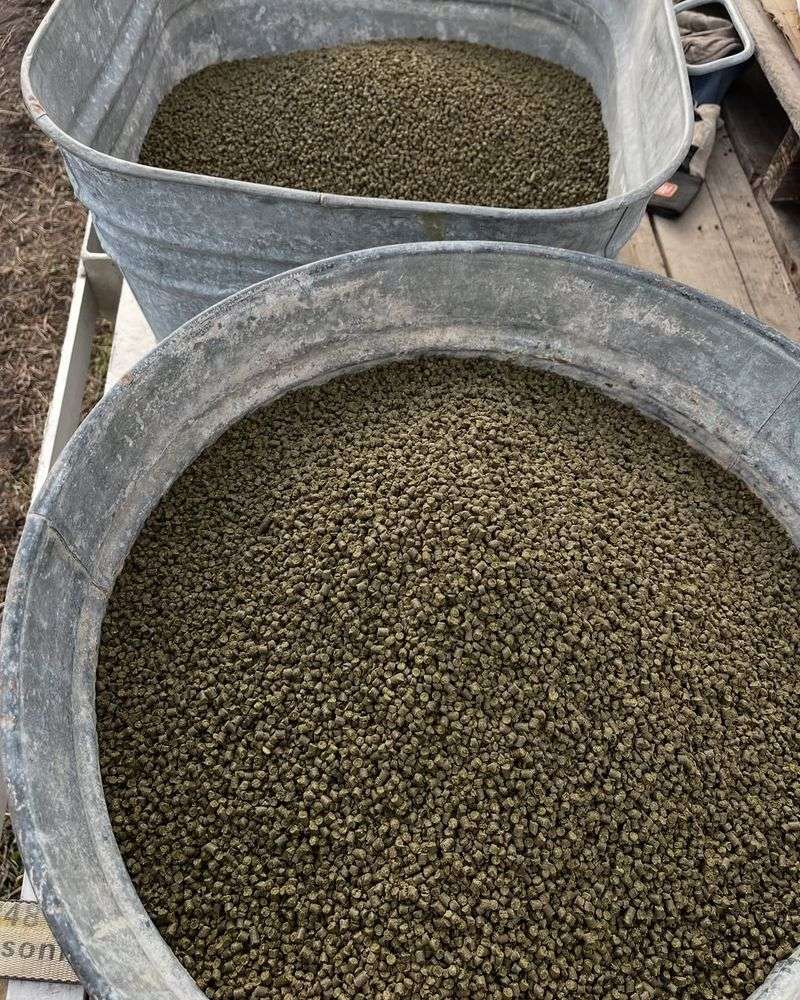 Alfalfa Meal