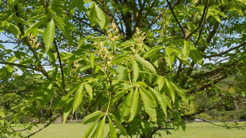 An Early Start And An Early Goodbye An Early Start And An Early Goodbye