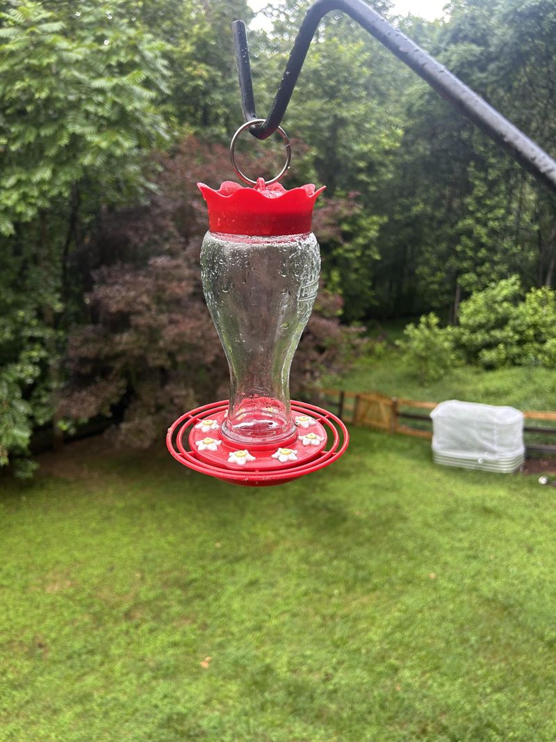 An Empty Feeder Does Not Always Signal Trouble An Empty Feeder Does Not Always Signal Trouble