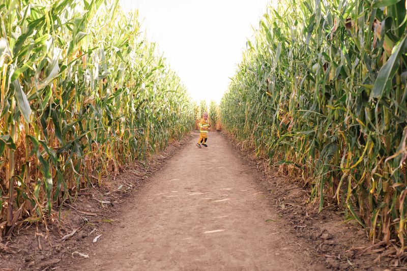 Anderson Farms Holds The Title For Colorado's Longest-Running Maze