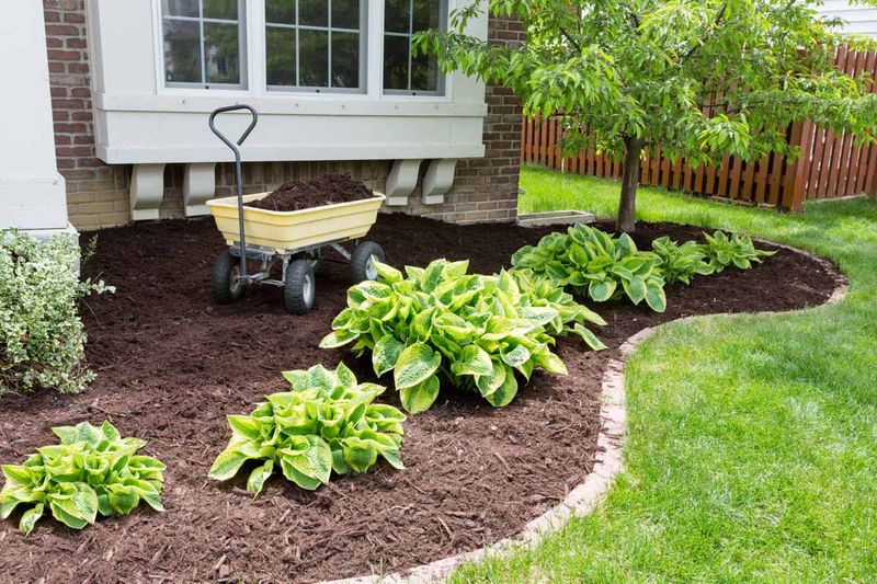 Apply Mulch To Arizona Garden Beds Apply Mulch To Arizona Garden Beds