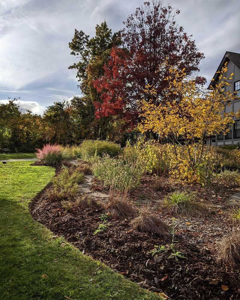 Apply Winter Mulch At The Right Time