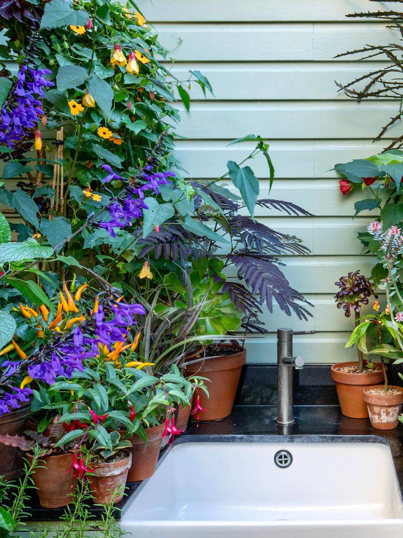 Apply Winter Mulch and Protect Tender Plants Apply Winter Mulch and Protect Tender Plants