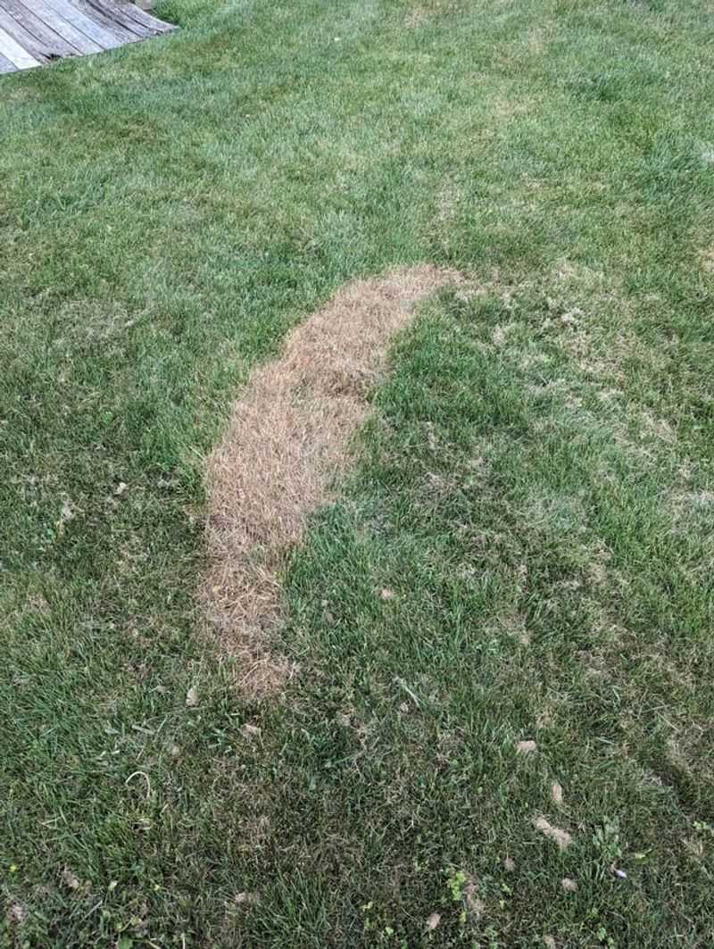 Applying More Than One Pound Of Nitrogen