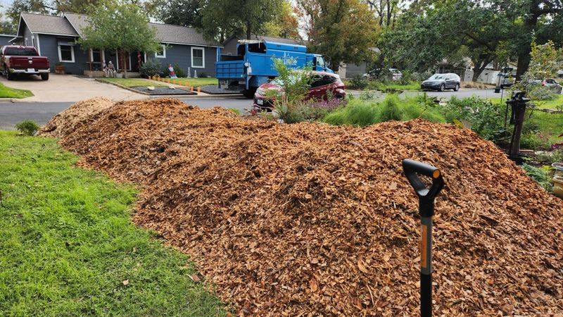 Arborist Wood Chips Cost Little Or Nothing Arborist Wood Chips Cost Little Or Nothing