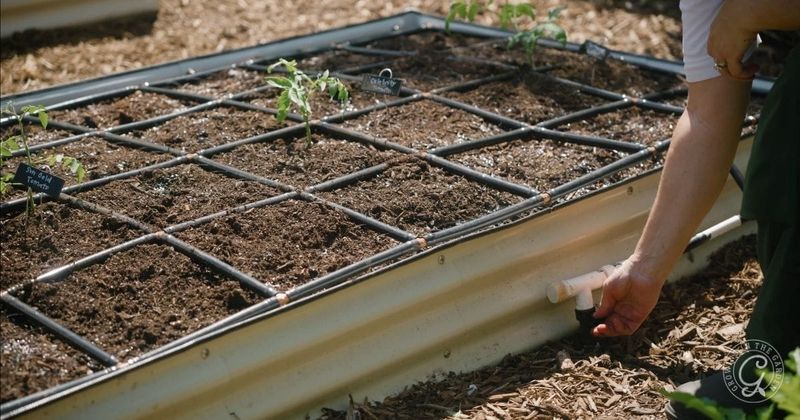 Arizona Drip Systems, Mulch, Containers, and Monsoon Rain Arizona Drip Systems, Mulch, Containers, and Monsoon Rain