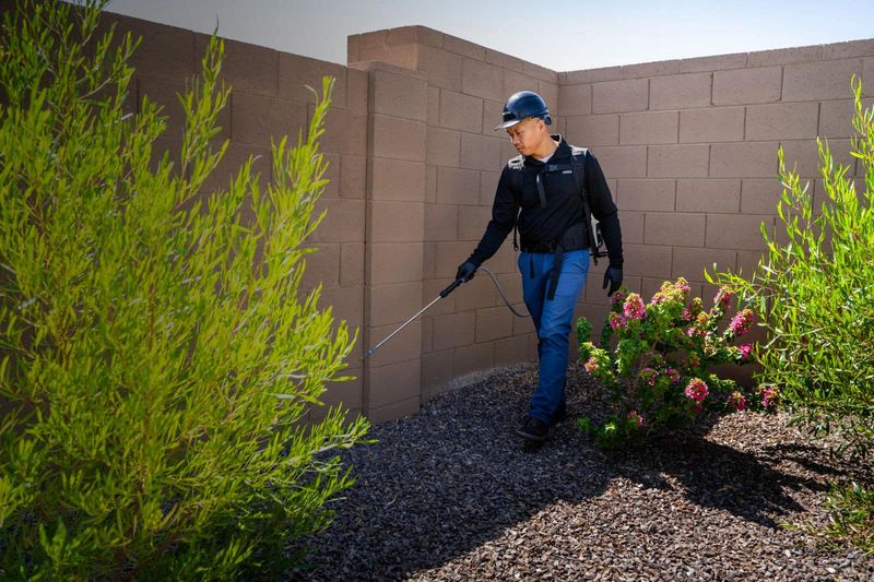 Arizona Integrated Pest Management Makes the Rule Work Arizona Integrated Pest Management Makes the Rule Work