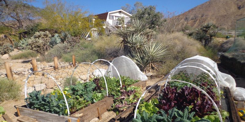 Arizona Seedbeds Need a Different Watering Rhythm Arizona Seedbeds Need a Different Watering Rhythm