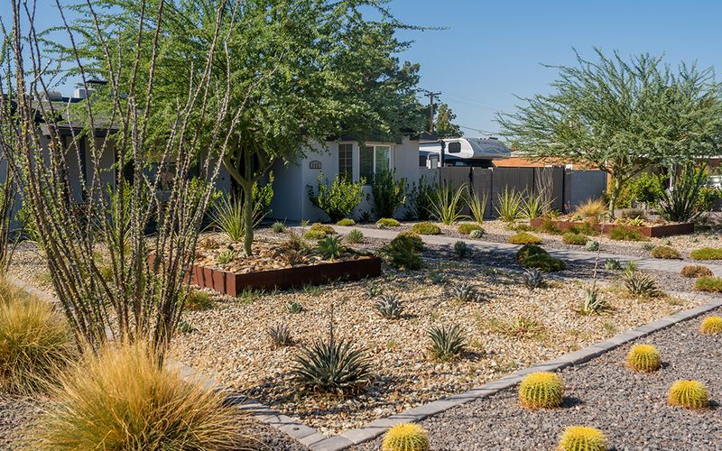 Arizona Turf Conversion Can Save Water, but Thyme Is Not the Savings Proof
