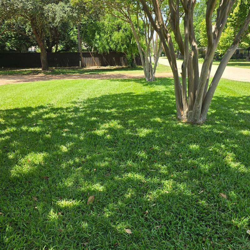 Assuming Greener Now Means Healthier Later