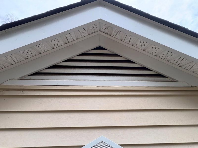 Attic Vents Bugs Love Most