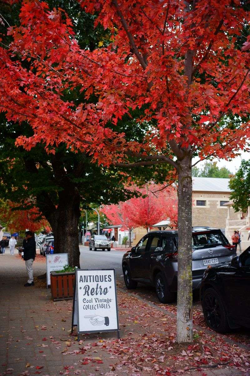 Autumn Color Shopping Beats Guessing From A Tag