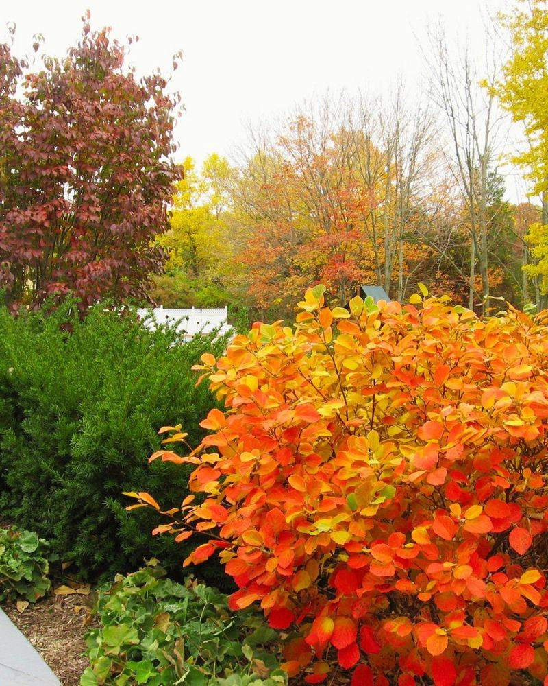 Autumn Rains Are Right Around The Corner