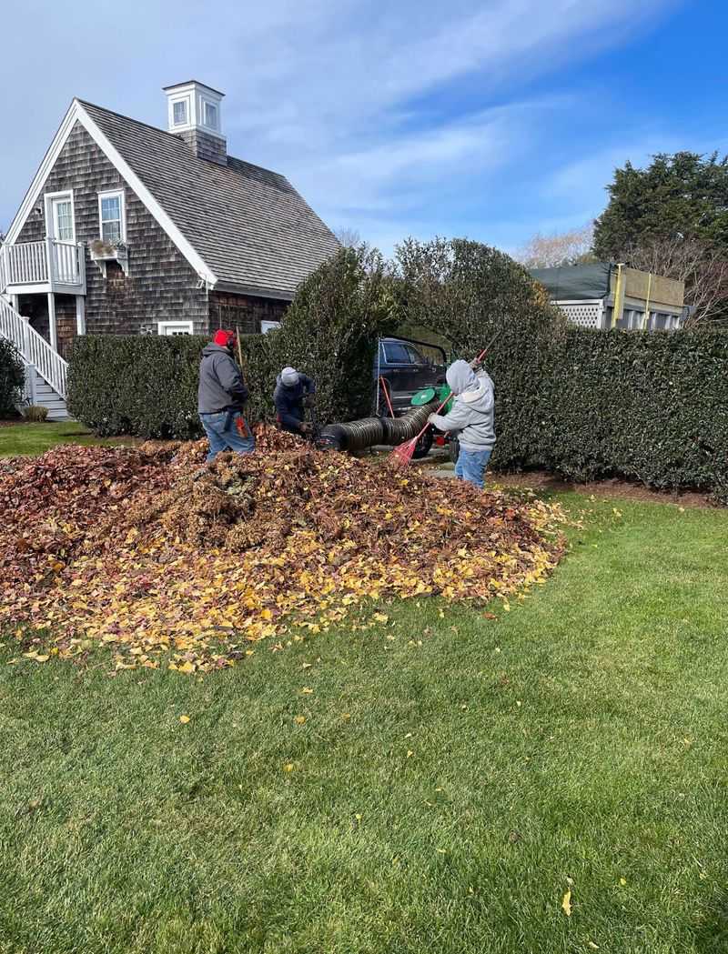 Autumn Yard Work And The Return Of Eight-Legged Trouble