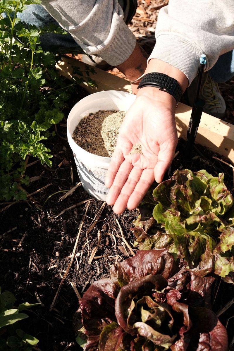 Avoid Adding Fertilizer Without A Reason