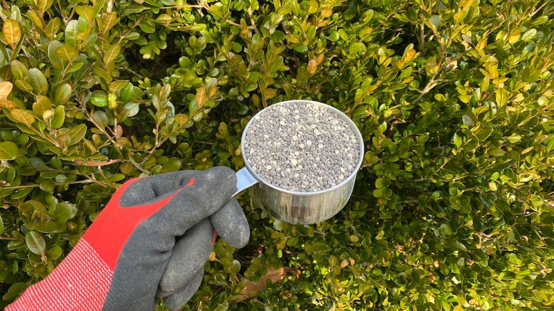 Avoid Heavy Fall Fertilizer
