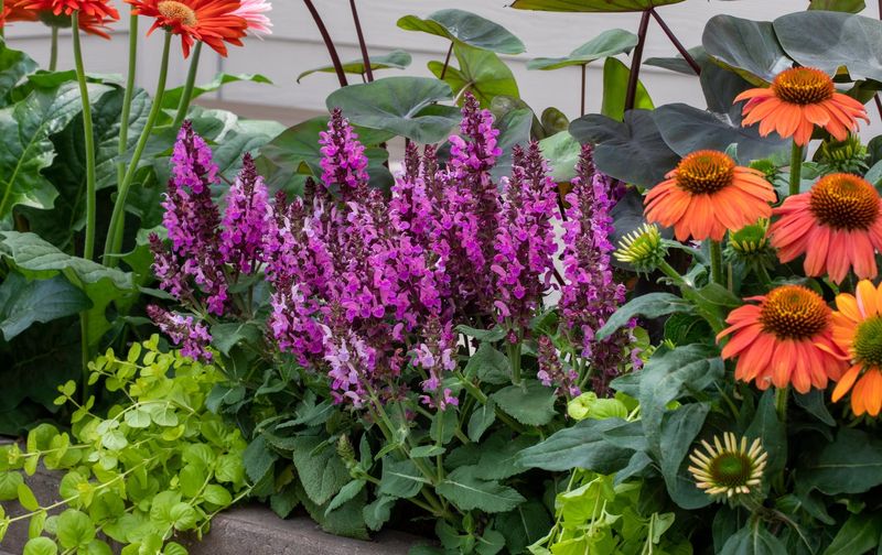Avoid Heavy Fall Fertilizing