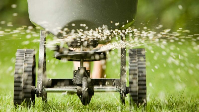 Avoid Late Feeding Mistakes Avoid Late Feeding Mistakes