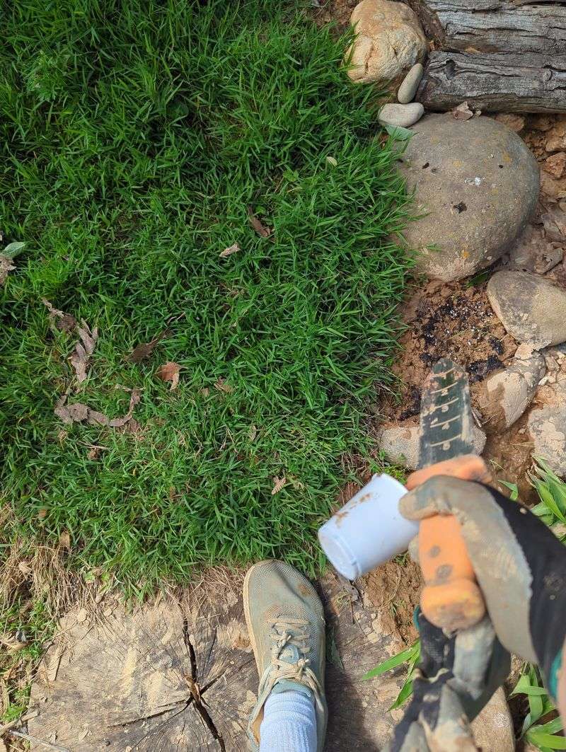 Avoid Moving Seeds Through Soil And Yard Debris