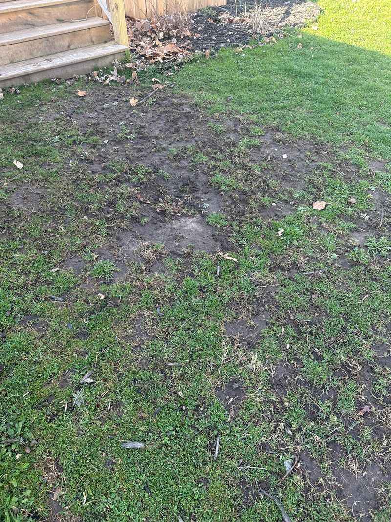 Avoid Overwatering Late In The Season