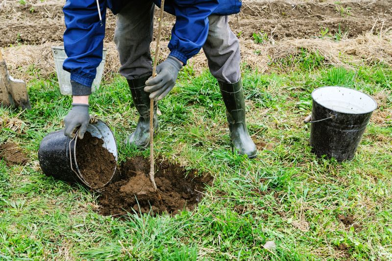 Avoid Planting When Soil Is Frozen Or Waterlogged Avoid Planting When Soil Is Frozen Or Waterlogged