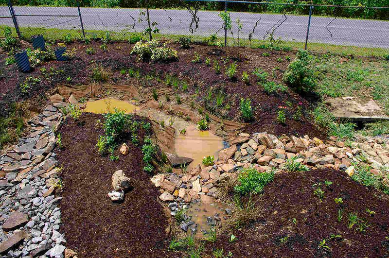 Avoid Routine Fertilizer Applications Before Winter Avoid Routine Fertilizer Applications Before Winter
