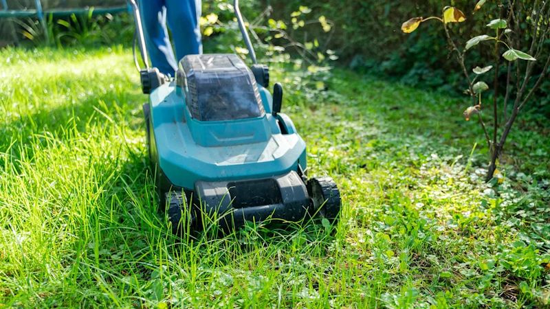 Avoid The Fall Mistakes That Slow Recovery Avoid The Fall Mistakes That Slow Recovery