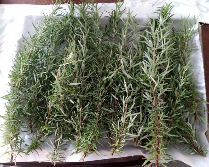 Avoid Trapping Moisture During Drying