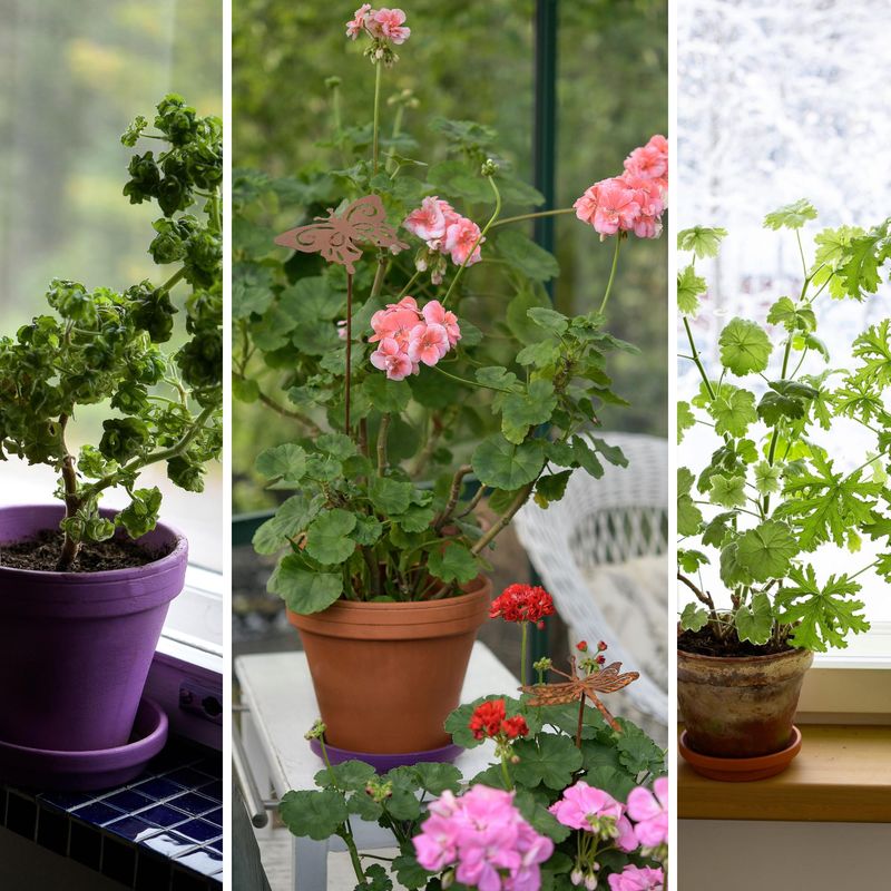 Avoid Winter Fertilization