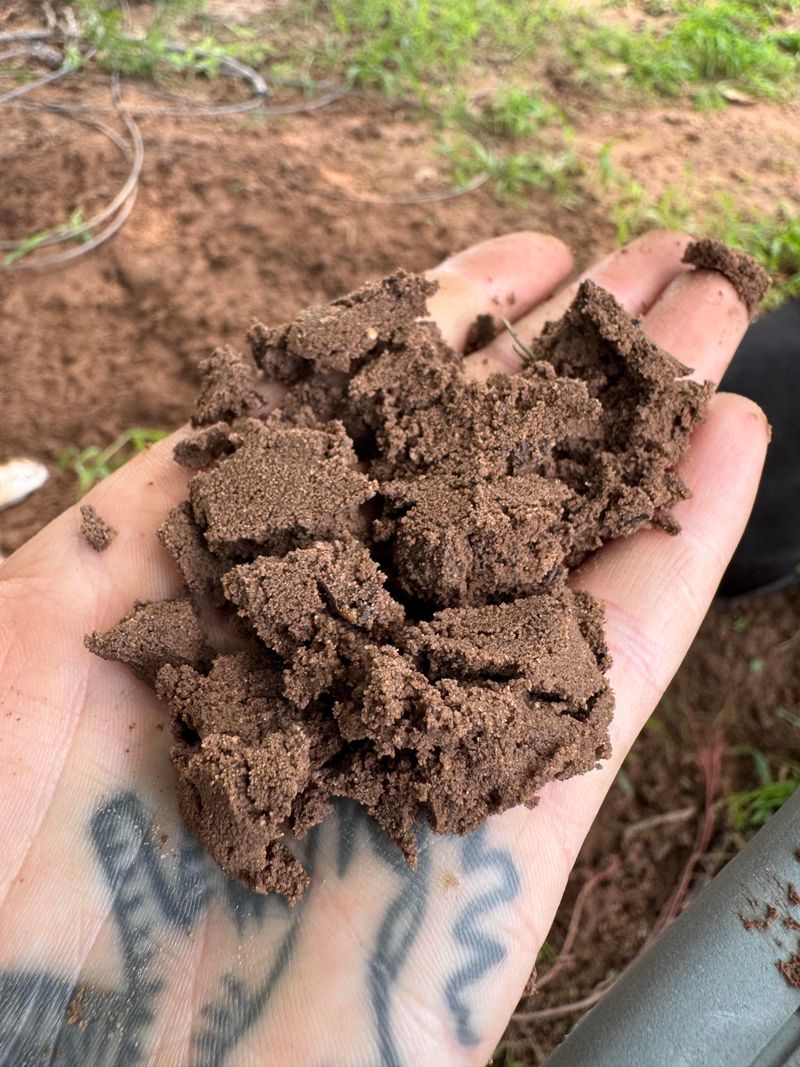 Avoid Working Clay When It Is Too Wet Avoid Working Clay When It Is Too Wet