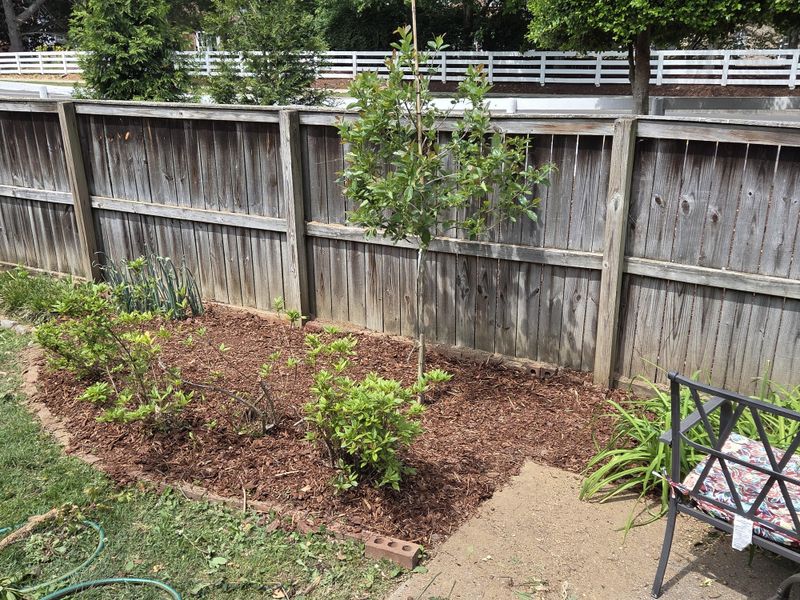 Backyard Planting And Care For Future Autumn Shows