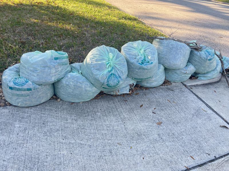 Bag Problem Plant Material For Disposal
